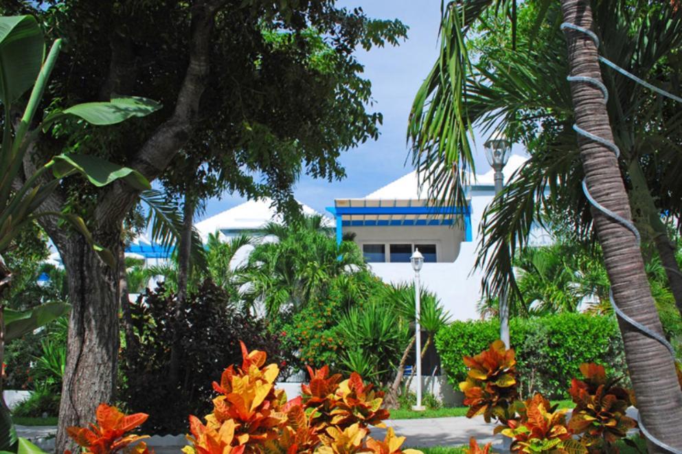 Paradise Island Beach Club Ocean View Villas Creek Village Esterno foto